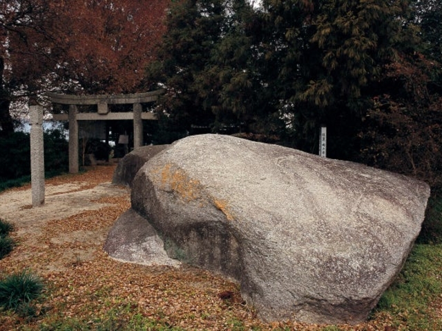 ���{�i����j�̎ʐ^1