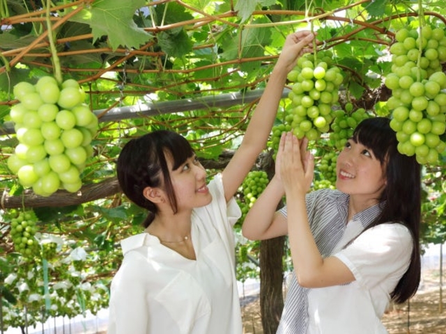 �Ό��ʎ����̎ʐ^1