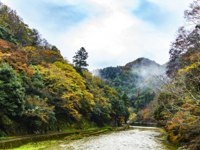 �V�_���̎ʐ^1