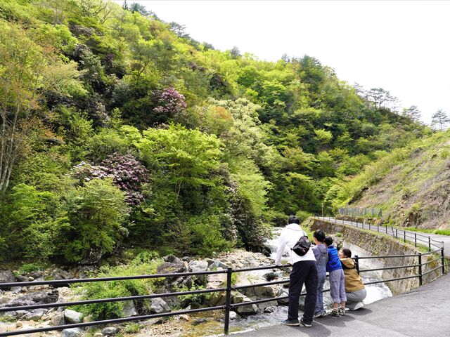 �O�����̎ʐ^1