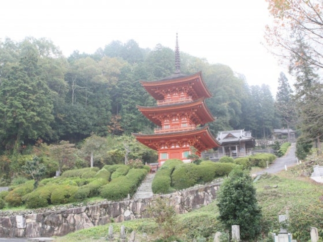 �������̎ʐ^1