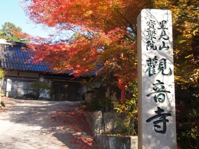 �ω����i���݂����j�̎ʐ^1