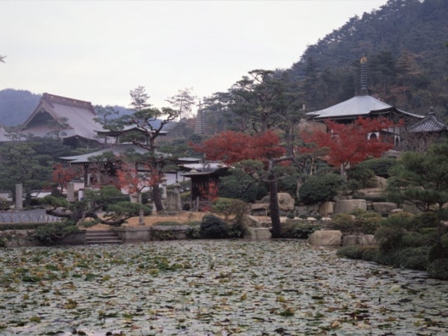 �����@�̎ʐ^1