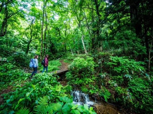 �V�����X�уZ���s�[�u��肩���̏��a�v�̎ʐ^1