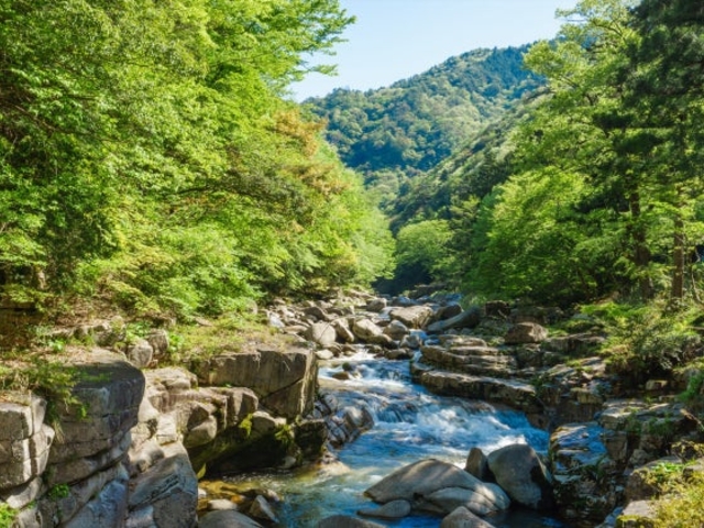 ���Ìk�̎ʐ^1