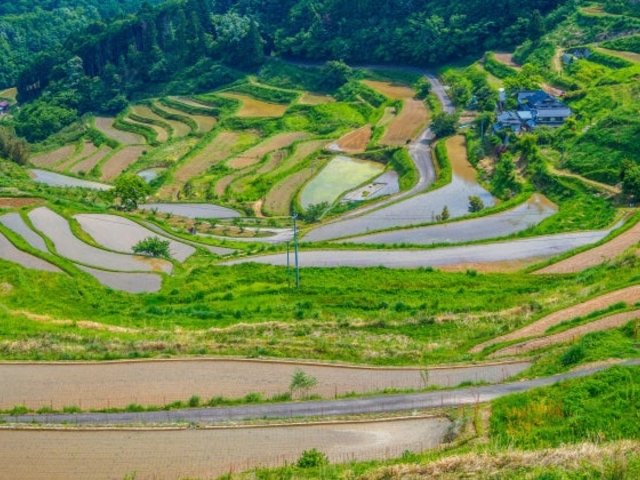 ����I�c�̎ʐ^1