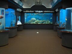 渋川マリン水族館(市立玉野海洋博物館)の写真1