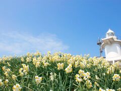 �Z������̎ʐ^1