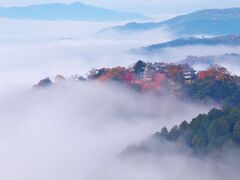 �_�C�W�]��̎ʐ^1