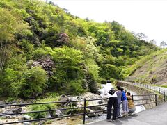 �O�����̎ʐ^1