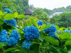 ���厛�̎ʐ^1