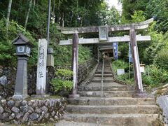 武蔵神社の写真1