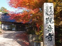 �ω����i���݂����j�̎ʐ^1