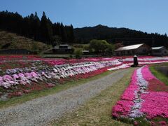 おおがや芝桜公園の写真1
