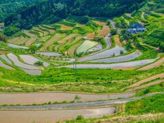 ����I�c�̎ʐ^1