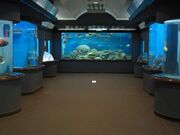 �a��}���������فi�s���ʖ�C�m�����فj�̎ʐ^2