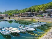 �k�ؓ��̎ʐ^2