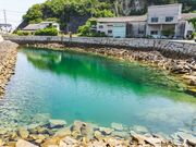 �k�ؓ��̎ʐ^4