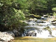 �O�����̎ʐ^3