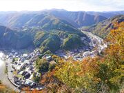 �J���X�g�R���W�]��̎ʐ^1