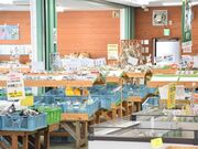 JA����̍����R�@������L��̎ʐ^3