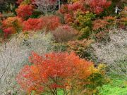 ���厛�̎ʐ^3