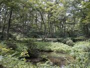 �����̗��̎ʐ^1