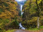 �_��̑ꎩ�R�����̎ʐ^3