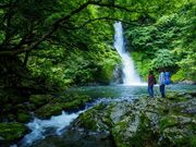 �V�����X�уZ���s�[�u��肩���̏��a�v�̎ʐ^2