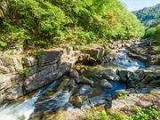 ���Ìk�̎ʐ^2