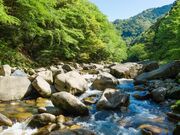 ���Ìk�̎ʐ^3