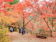 ���Ìk�̎ʐ^4