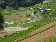 ����I�c�̎ʐ^3