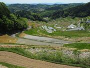 ����I�c�̎ʐ^4