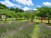 �܂��΂̊ق̎ʐ^2