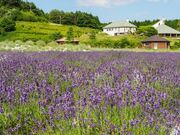 �܂��΂̊ق̎ʐ^3