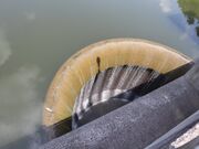 ��_���̎ʐ^3