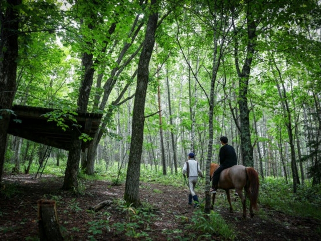 ������Ƃ�������