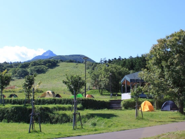 �t�@�~���[�L�����v���?��