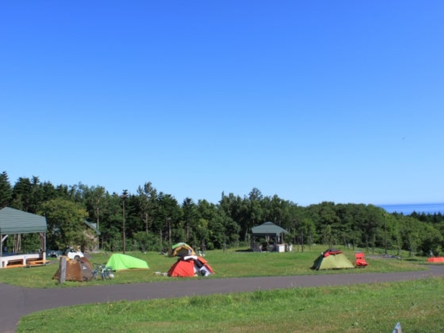 �t�@�~���[�L�����v���?��