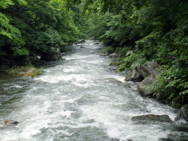 ���Ɛ�̎ʐ^1