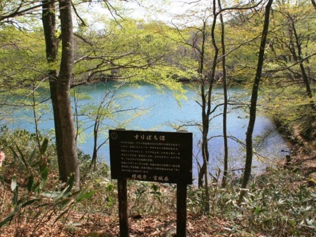 ����΂���