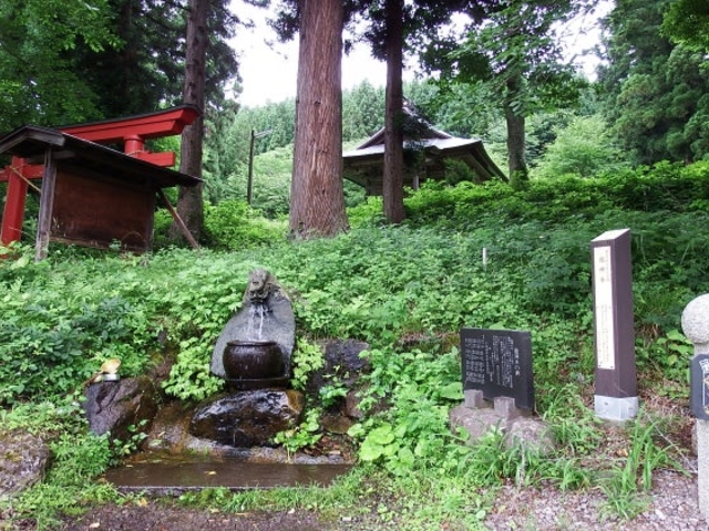 ���_���̎ʐ^1