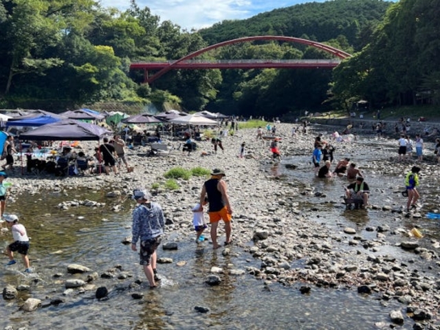 �є\�͌�(�o�[�x�L���[�X�|�b�g)�̎ʐ^1