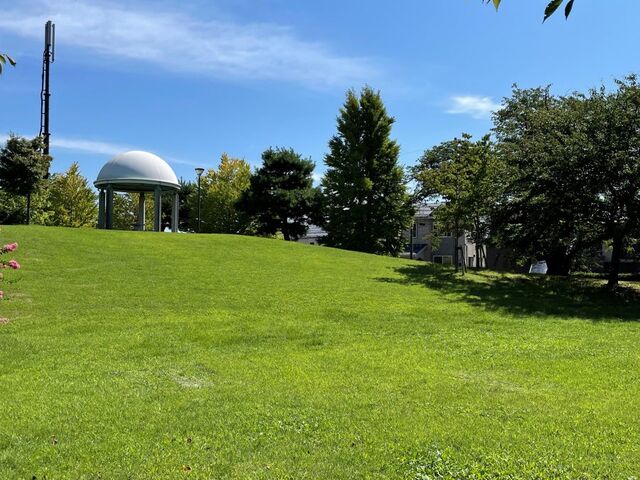 ���������̎ʐ^1