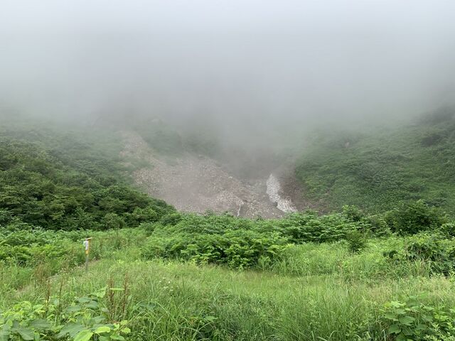 ����̖��N��̎ʐ^1