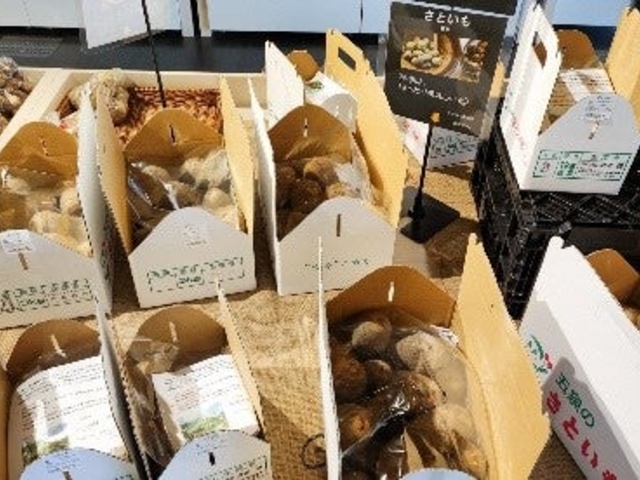 ���|���e�ܐ�