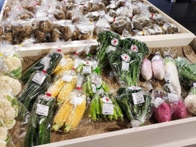 ���|���e�ܐ�