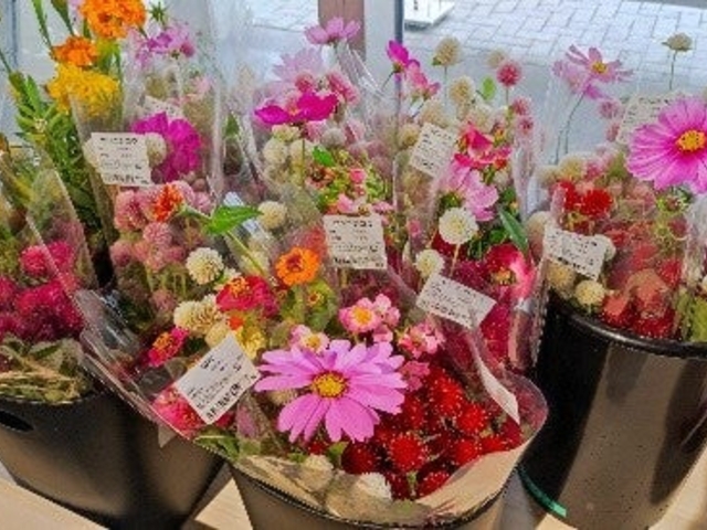 ���|���e�ܐ�