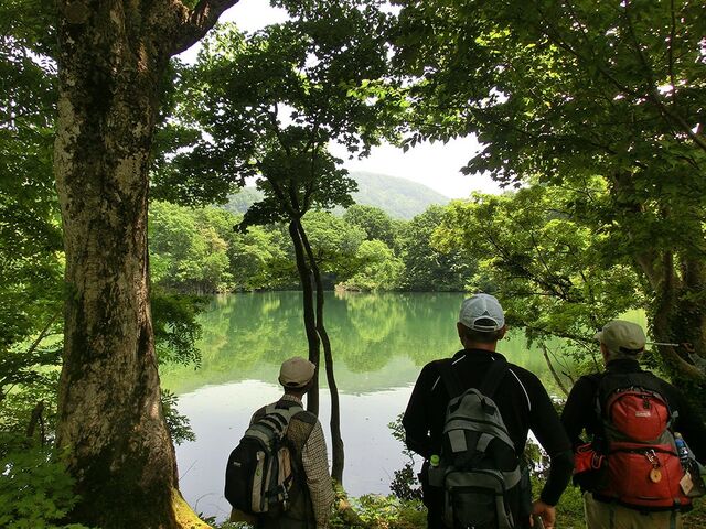 ����ǂ�s���̐X�̎ʐ^1